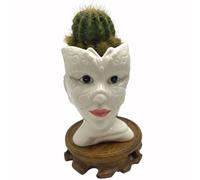 BEECO GIF2U Carini vasi per piante grasse,Fioriere da interni in ceramica bianca con drenaggio e vassoio in legno,Vasi rotondi poco profondi per piante da fiore decorazione maschera signora