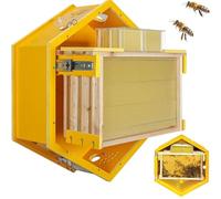 Beehive Starter Kit, Alveare da Parete per Interni con Finestra di Visualizzazione in Acrilico, 3 Cornici, 6 Vassoi a Nido d'ape, per gli appassionati di apicoltura