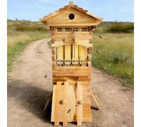 Beehive Starter Kit - Alveare in legno di cedro naturale con pettine in plastica e finestra di visualizzazione, facile da montare per casa e balcone
