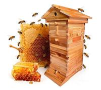 Beehive Starter Kit - Set completo in legno per apicoltura con finestra di osservazione e beccuccio per miele per principianti e hobbisti, ideale per apicoltura in giardino