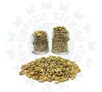 BEER KIT HOMEBREWERS | Kit per Fare Birra Pilsner Completo di bottiglie e tappatrice | Fast Beer in pochi giorni | Preparazione con Malto e Luppoli - Fermentazione in Fusto - Materiali MADE IN ITALY