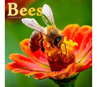 Bees 2025 Calendar: A Year in the Life of Nature’s Essential Pollinators