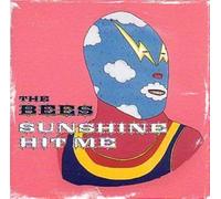 Bees - Sunshine Hit Me
