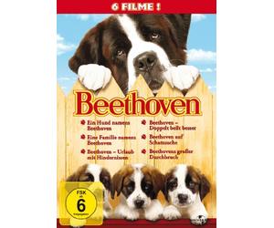 Beethoven - 6 Movie-Set/Teil 1-6
