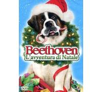 Beethoven L'Avventura Di Natale (DVD) John Cleese Munro Chambers Kim Rhodes
