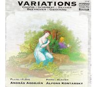 Beethoven - Variations For Fl