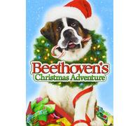 Beethoven's Christmas Adventure (DVD) Kyle Massey Munro Chambers Kim Rhodes
