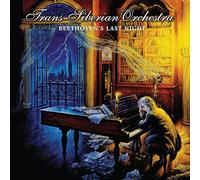 beethoven's last night