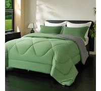 beeweed Piumino Letto Piazza e Mezza Quattro 4 Stagioni, Reversibile Piumone Autunnale Invernale 200x200cm - Coperta Trapunta 200x200 di Microfibra Sintetico 300 GSM, OEKO-TEX, Con 2 federa(40X80)
