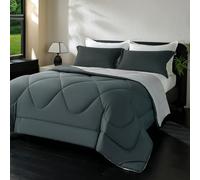 beeweed Piumino Letto Piazza e Mezza Quattro 4 Stagioni, Reversibile Piumone Autunnale Invernale 200x200cm - Coperta Trapunta 200x200 di Microfibra Sintetico 300 GSM, OEKO-TEX, Con 2 federa