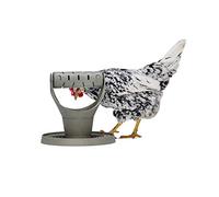 Beeztees BZ Huehner - Torre da Gioco e snackturm, 30 x 30 x 30 cm, Colore: Grigio