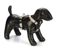 Beeztees Cani Cablaggio Y Parinca Premium Nylon Grigio Luce, Regolabile, Sicuro