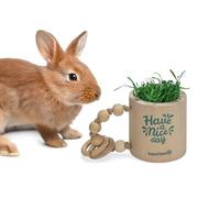 Beeztees Have a Nice Day, giocattolo per roditori, 16,5 x 10 x 10 cm