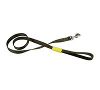 Beeztees Lainzaglio in Nylon per Cane, 120 x 2,5 cm, Colore: Lime