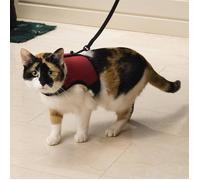Beeztees Pettorina Comfort per Gatti