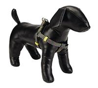 Beeztees - Pettorina per Cani, in Nylon, 60, 100 x 2,5 cm, Colore: Verde Chiaro
