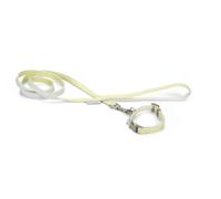 Beeztees Set collare e guinzaglio per cuccioli, giallo