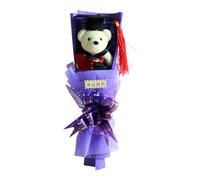 Befeixue Congratulazioni Laureato Mazzo di Orso | Bouquet Bambola Con Cappelli di Laureato,Regalo Promemoria Per Laureati Ragazze