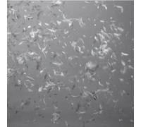 Before - We Are Strangers