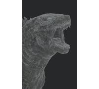 befores & afters - issue #2