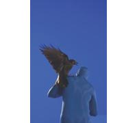 befores & afters - issue #4