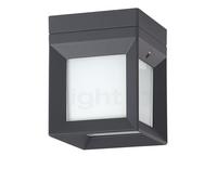 Bega 22453 - Soffitto, parete e Luce del piedistallo LED, grafite