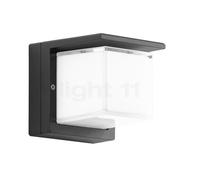 Bega 24199 - Soffitto, parete e luce del piedistallo, grafite