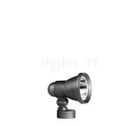 Bega 84259 - Riflettori puntati su