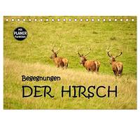 Begegnungen. DER HIRSCH (Tischkalender 2026 DIN A5 quer), CALVENDO Monatskalender: Eindrucksvolle Begegnungen mit dem Hirsch, dem König unserer Wälder