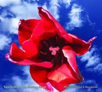 Michael Begg & Roedelius Two Gather in the Waiting Room (CD) Album