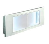 Beghelli BEG4259 Plafoniera Emergenza LED 8 W, Multicolore