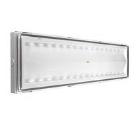 Beghelli BEG8587 Plafoniera Emergenza, 18 watts, Multicolore
