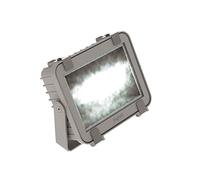 Beghelli BEGF50LED Proiettore LED 50 W, Multicolore