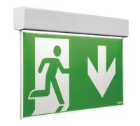 Beghelli Spa BEG 4321 BANDIERA UP LED EXIT DF30M SA 1/2/3H