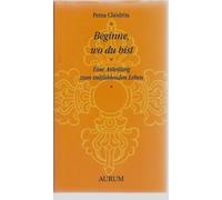 Beginne, wo du bist. Eine Anleitung zum mitfühlenden Leben