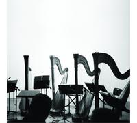 Behavior Spirits & Embellishments (Vinyl LP) 12" Album