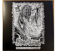 behind the realms of the dark (black vinyl lp)