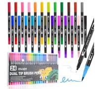 Behiruch 24 Colori Brush Pen, Pennarelli Doppia Punta (Fine e a Pennello), Penne da Colorare ad Asciugatura Rapida per Tessuti, Pittura, Dipingere Sassi