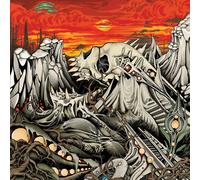 Behold The Arctopus Hapeleptic Overtrove Mixed Color (Vinyl LP)