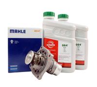 Termostato, refrigerante BEHR MAHLE TM 12 105