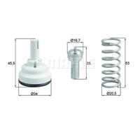 BEHR Termostato Refrigerante con Guarnizione 105°C TX 182 105D