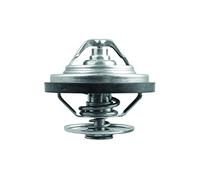 Behr thermot-tronik 31 98 Termostato per il Refrigerante