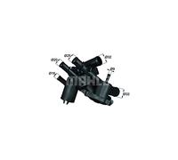 Behr Thermot-Tronik TM 4 109 - Termostato, Refrigerante