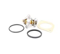 Behr Thermot-Tronik TX 13 87D - Termostato, Refrigerante