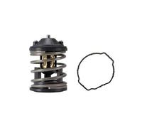 Behr-thermot-tronik tx16387d Termostato per il Refrigerante