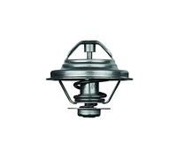 Behr TX 176 82d motore