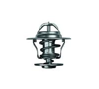 Behr TX 177 82d motore