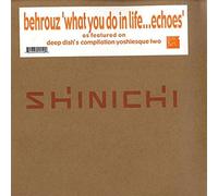 Behrouz - What You Do In Life?Echoes
