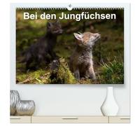 Bei den Jungfüchsen (hochwertiger Premium Wandkalender 2026 DIN A2 quer), Kunstdruck in Hochglanz: Zwei Fuchsfamilien an einem Naturbau mit interessanten Begegnungen