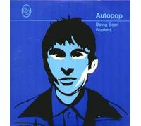 BEING SEEN CD UK FANTASTIC PLASTIC 1996